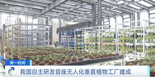 世界初！中國獨自開発の自動化垂直植物工場、生物技術(shù)普及サービスを牽引